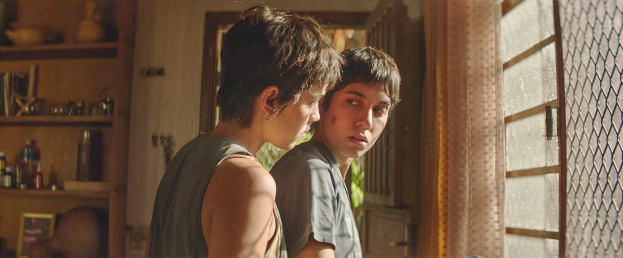 Imagem 5